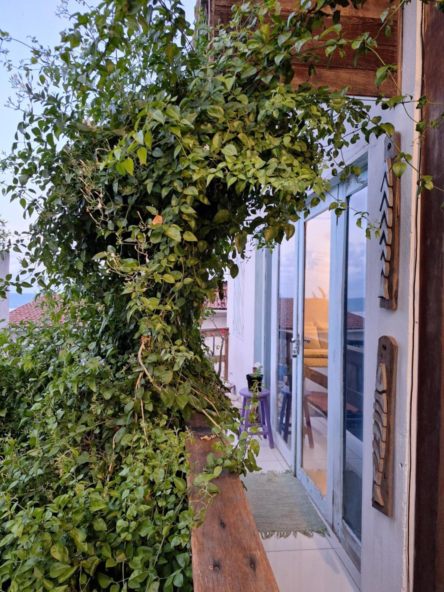 Buddha Suites Praia de Pipa 외부 사진